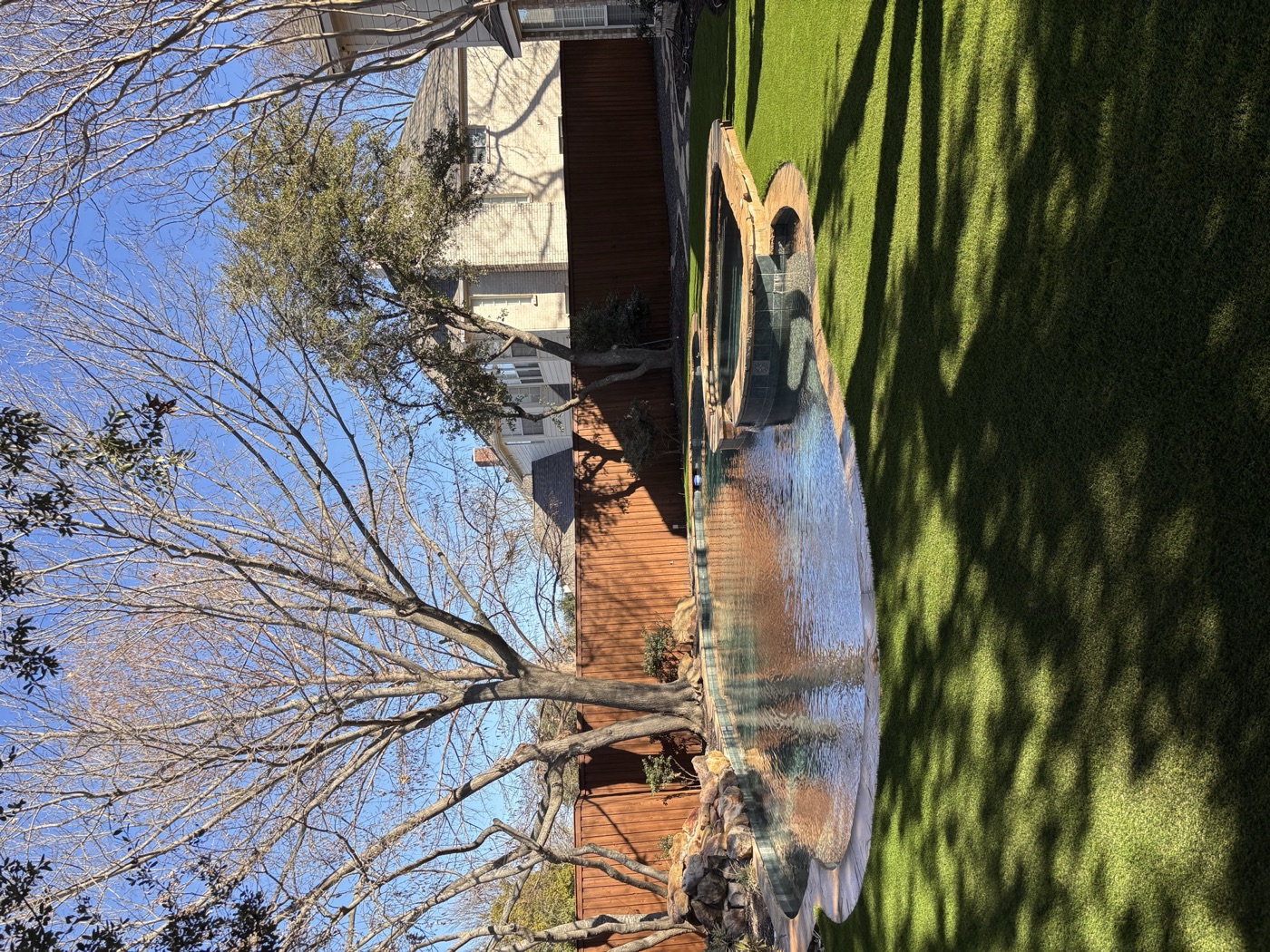 Custom backyard pool and spa with turf lawn