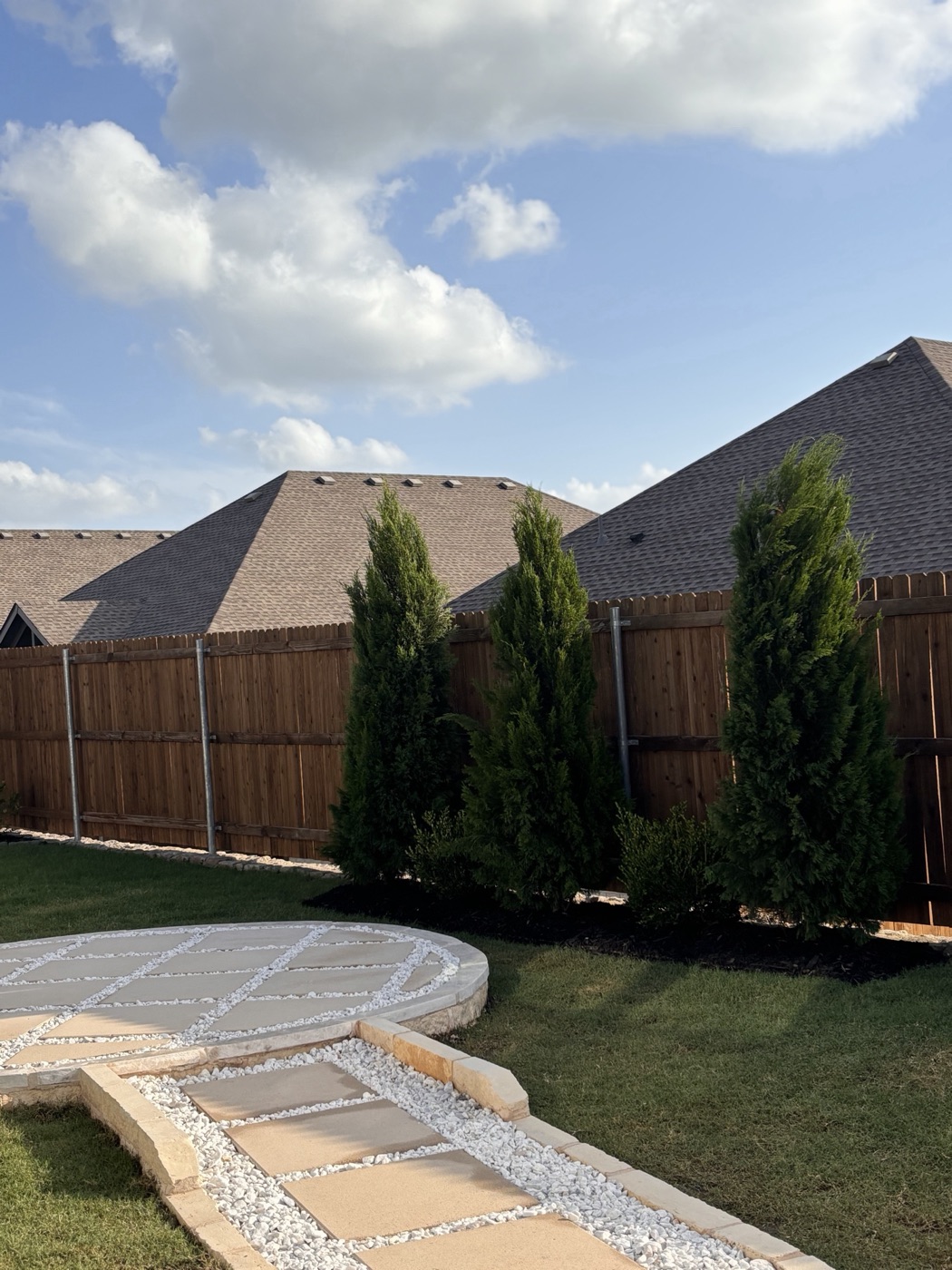 Privacy landscaping with arborvitae along a cedar fence