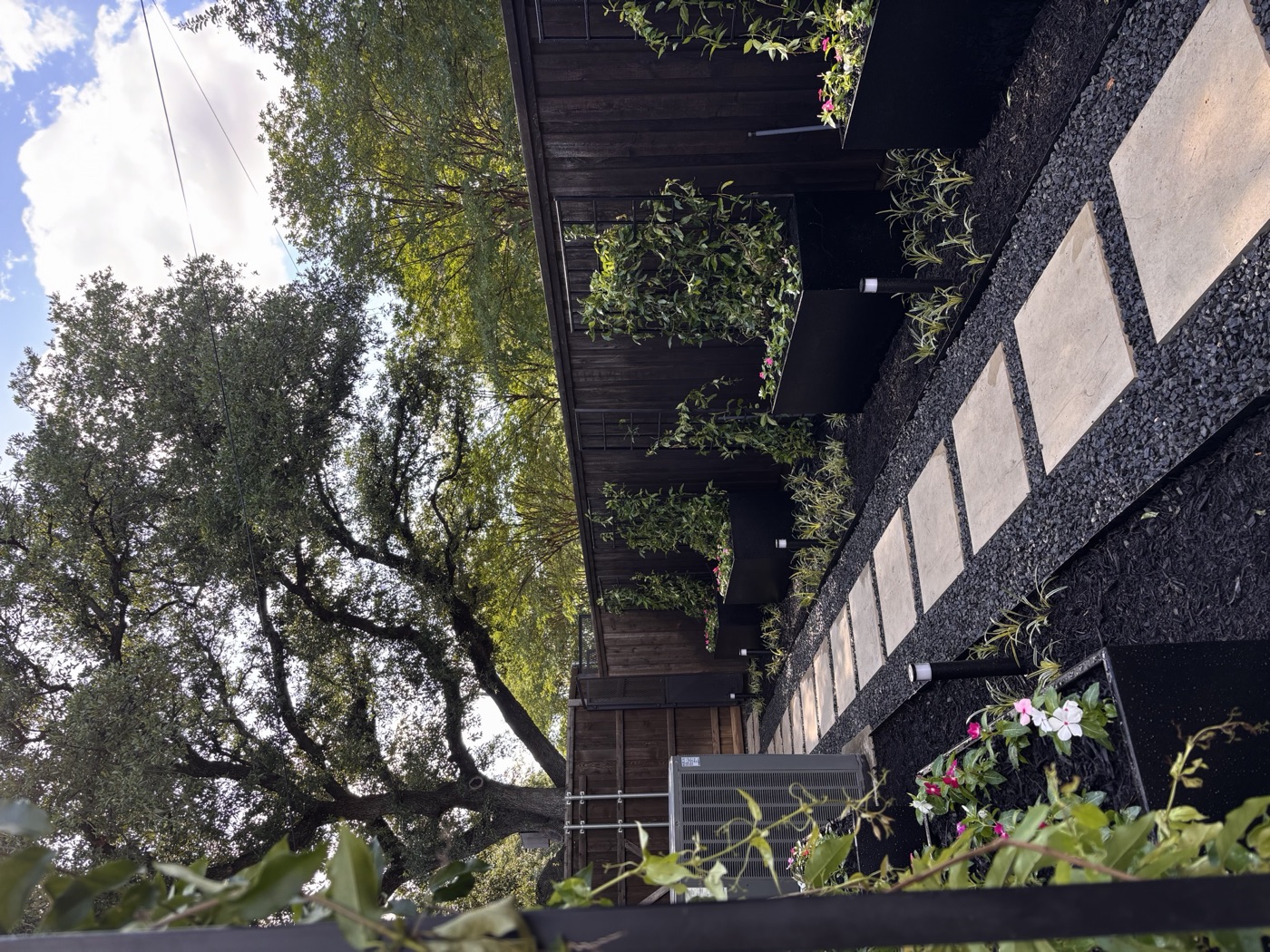 Landscape Design